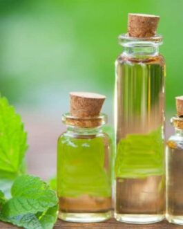 Corn mint Oil